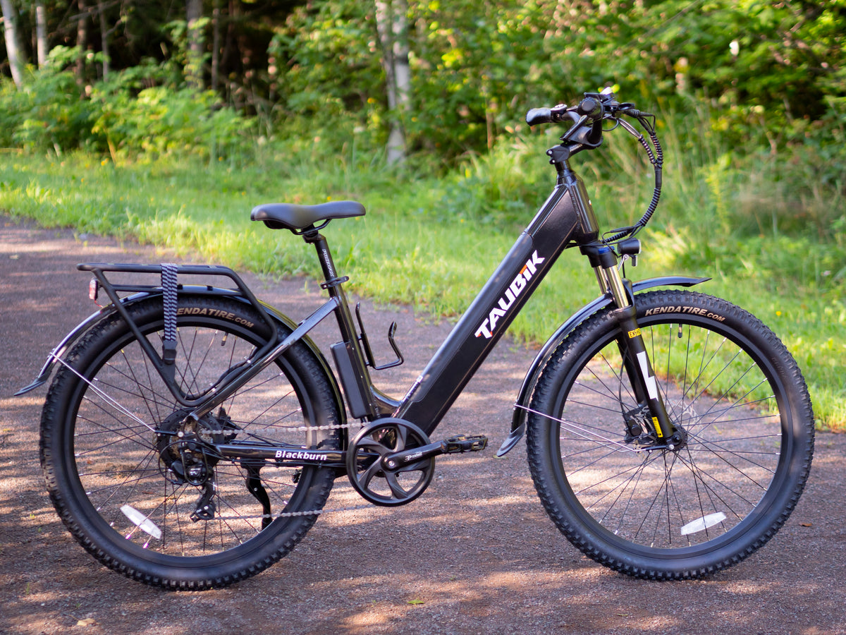 wind wheel electric bike