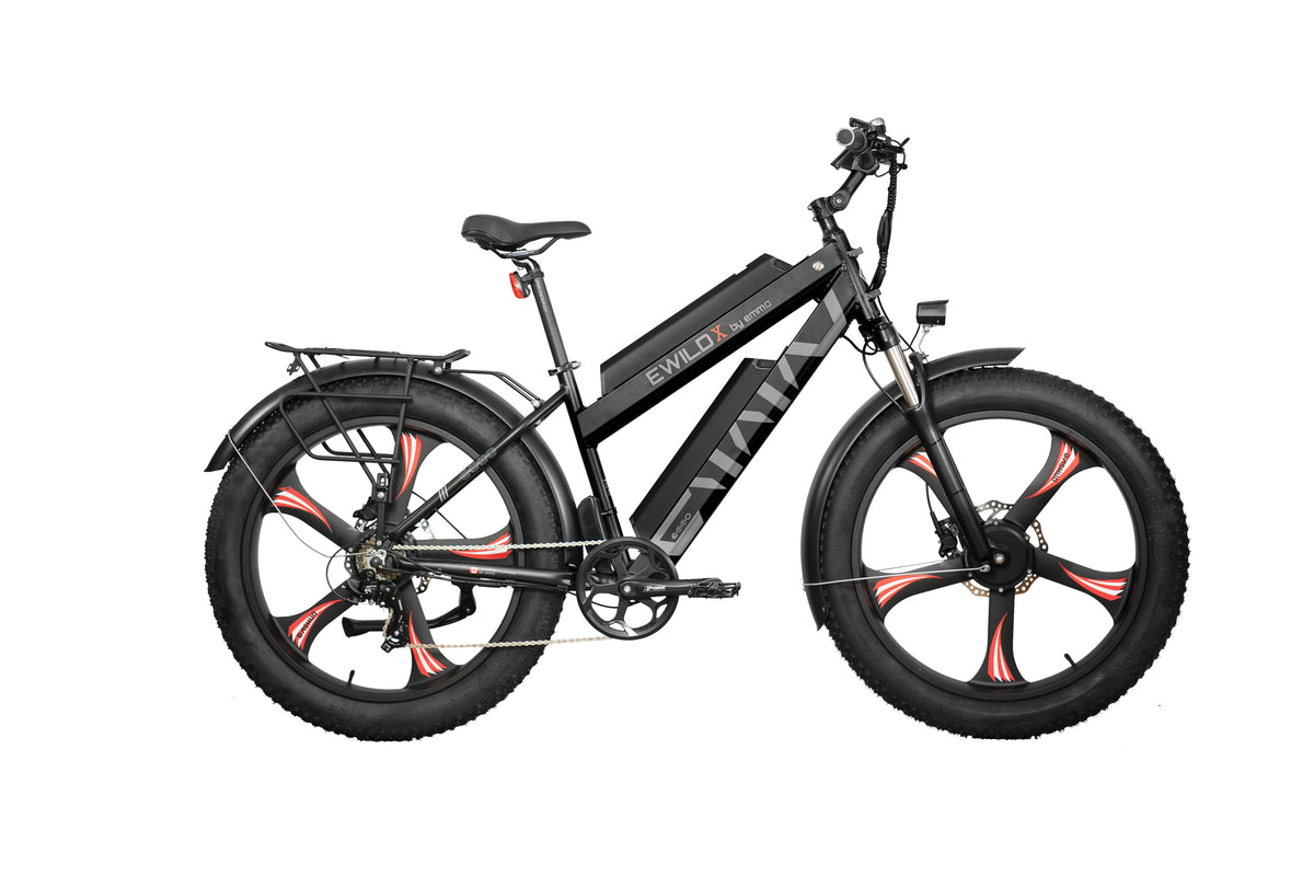 Dual Series – Ride the Wind Ebikes